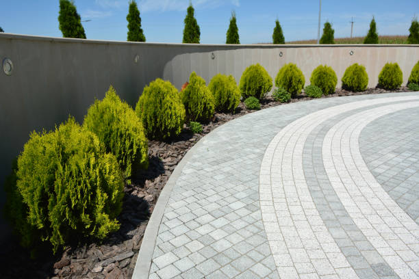 Best Decorative Driveway Pavers  in East Los Angeles, CA
